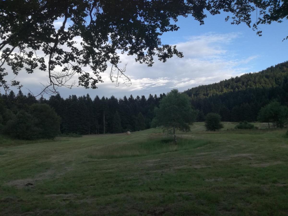 Kuca Za Odmor "Jasna" Apartment Crni Lug Bagian luar foto