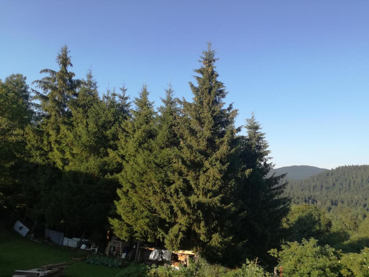 Kuca Za Odmor "Jasna" Apartment Crni Lug Bagian luar foto