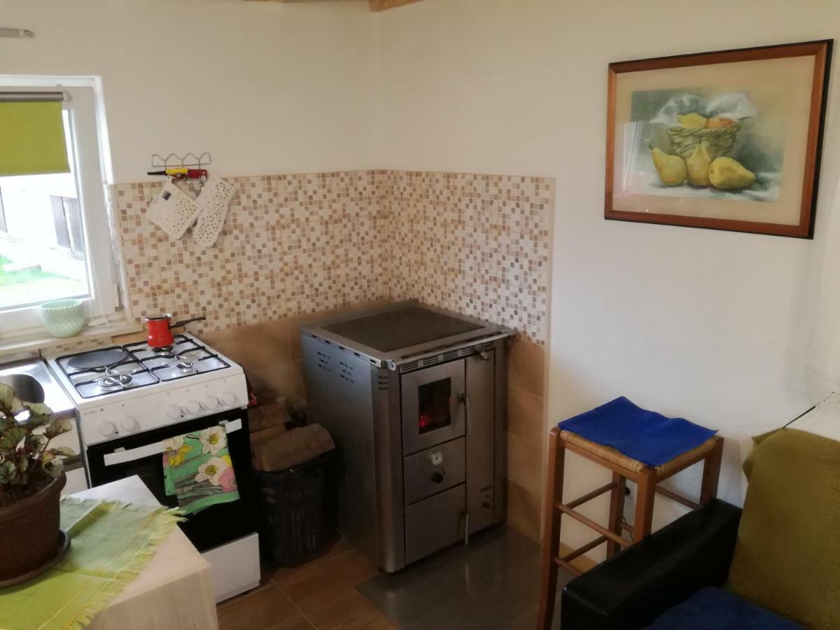 Kuca Za Odmor "Jasna" Apartment Crni Lug Bagian luar foto