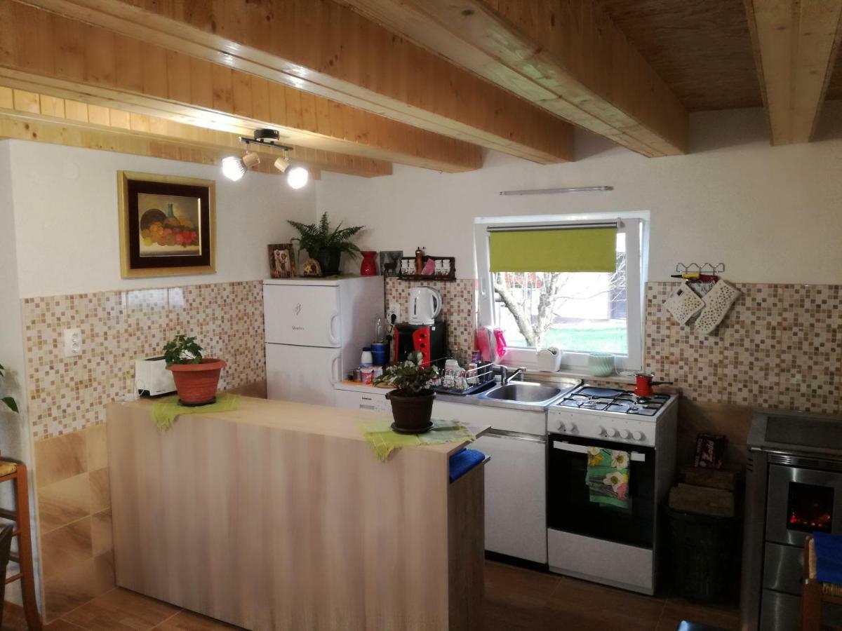 Kuca Za Odmor "Jasna" Apartment Crni Lug Bagian luar foto