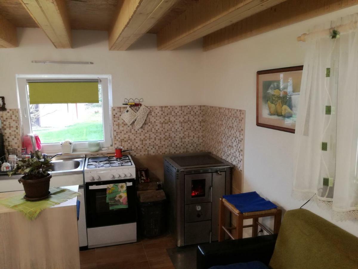 Kuca Za Odmor "Jasna" Apartment Crni Lug Bagian luar foto