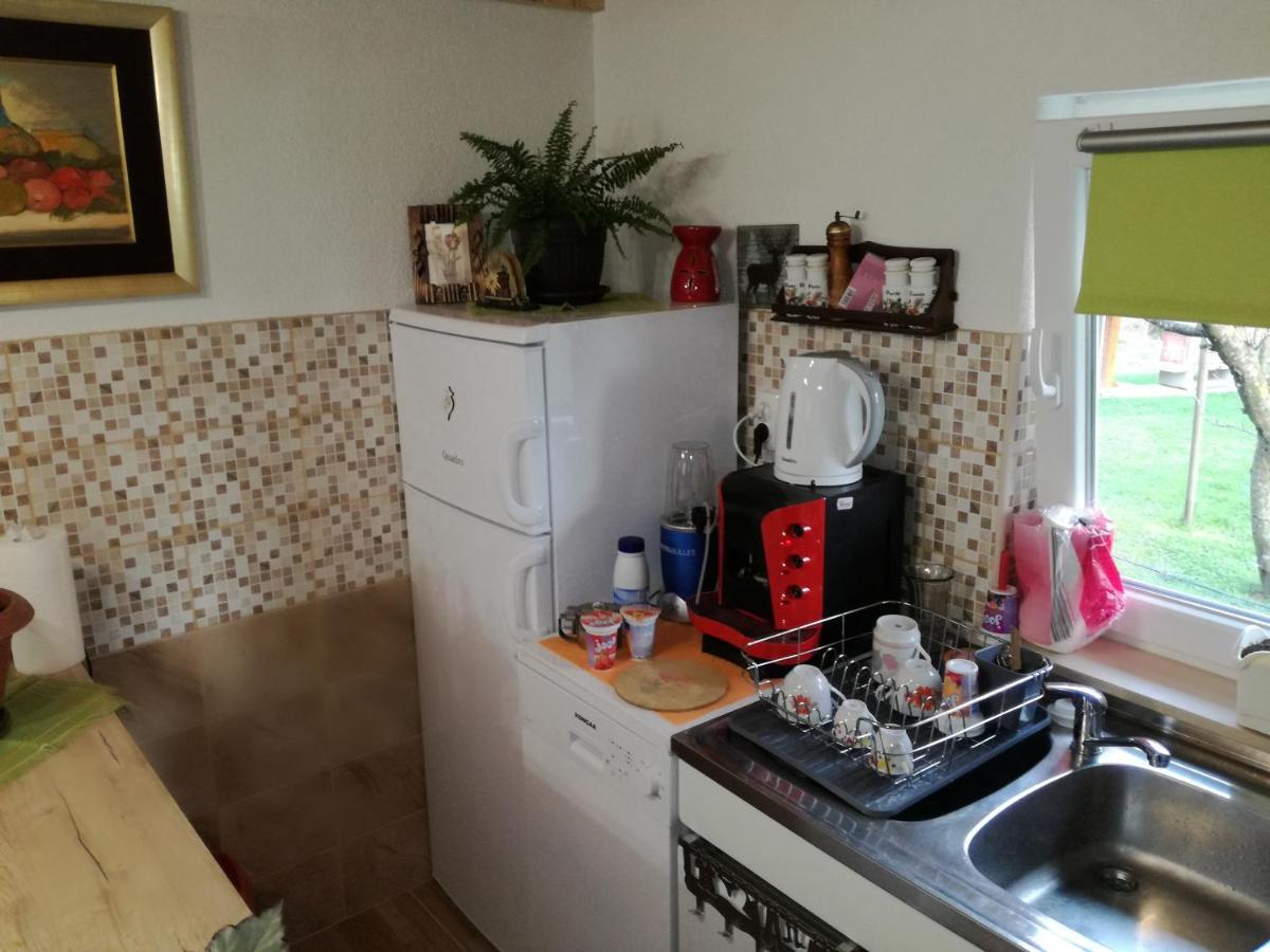 Kuca Za Odmor "Jasna" Apartment Crni Lug Bagian luar foto