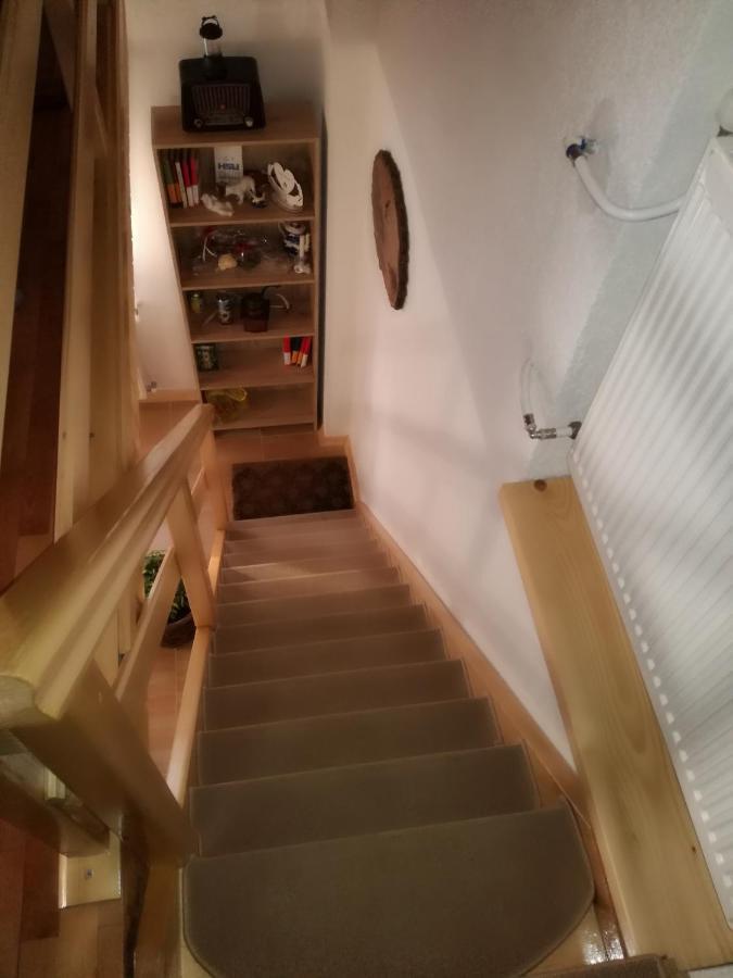 Kuca Za Odmor "Jasna" Apartment Crni Lug Bagian luar foto