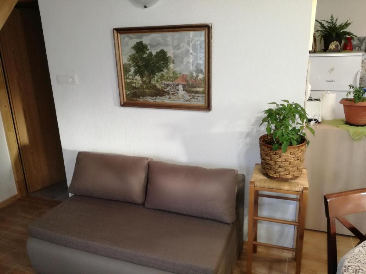 Kuca Za Odmor "Jasna" Apartment Crni Lug Bagian luar foto